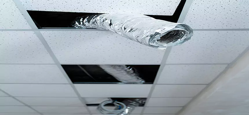 Our Air Duct Pet Hair Removal Services in St. Paul, MN