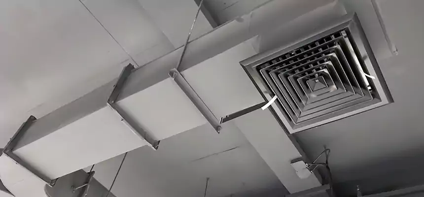 Restorative Allergy Relief Vent Cleaning – Coil, Blower & Housing Detail in St. Paul