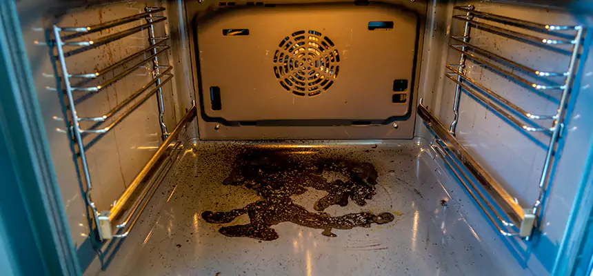 Our Dryer Vent Mold Cleaning Services in St. Paul, MN