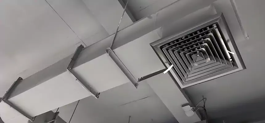 Our Pest Removal From Ducts Services in St. Paul, MN