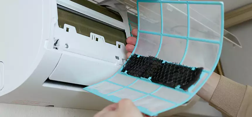 Gentle Ductwork Odor-Control Pet Dander Duct Cleaning in St. Paul, MN