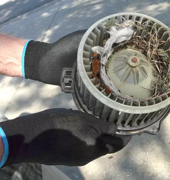 About Air Duct Mice Removal in St. Paul, MN