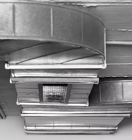 Professional Air Duct Pest Removal in St. Paul, MN