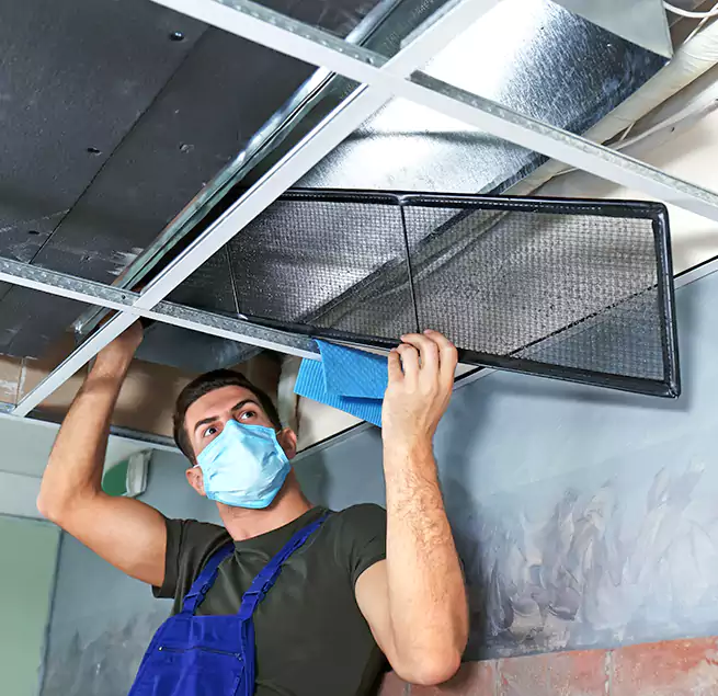 Why Homeowners Businesses Trust Us in St. Paul, MN